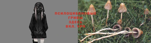 амф Нязепетровск