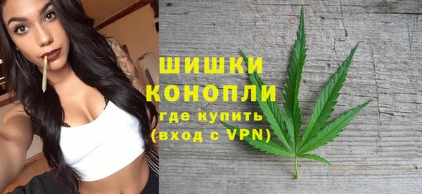 гидра Новодвинск