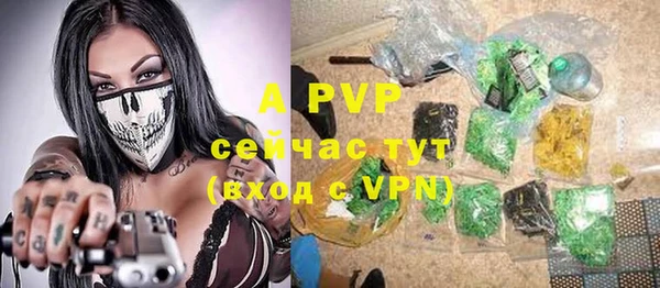 гидра Новодвинск