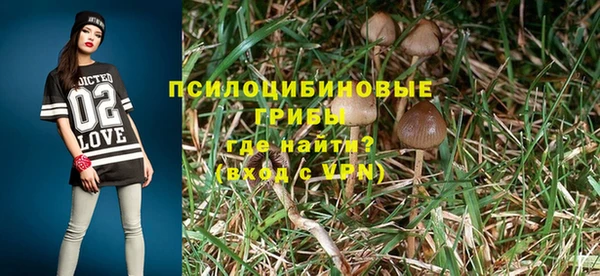 гидра Новодвинск