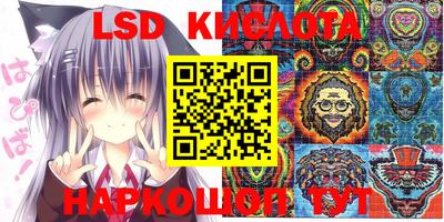 стаф Абинск