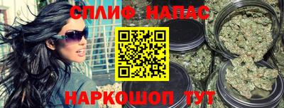 стаф Абинск