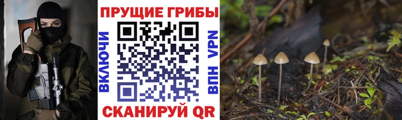 Галлюциногенные грибы ЛСД  дарнет шоп  Карталы 