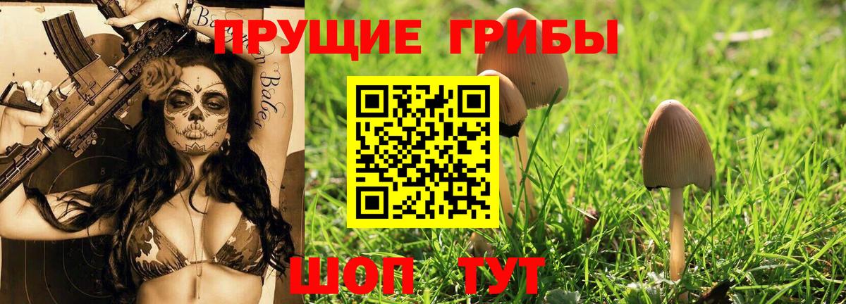 Галлюциногенные грибы Psilocybe  Карталы 