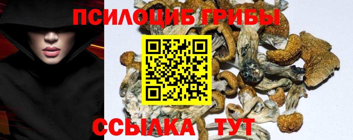 Псилоцибиновые грибы ЛСД Карталы