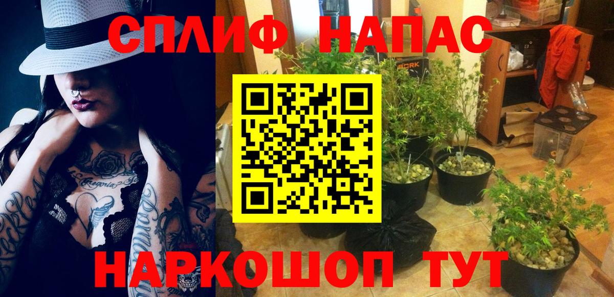 Каннабис планчик Карталы